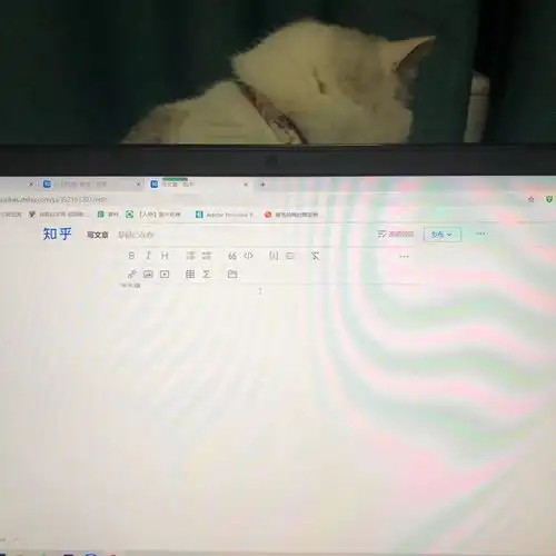 测试一个超长简介的文章