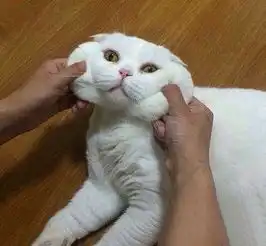 李姐讲笑话吧女朋友带我去见她的父母