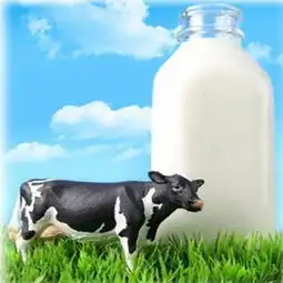 eurocow优佳纯牛奶200ml6德国进口euroc