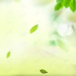 清新自然绿叶家居用品psd分层主图背景图片免费下载主图直通车psd千库网图片编号5290051