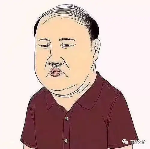 网曝9大车型车主画像,惹毛了一大片看看惹住你了没......