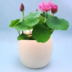 先做人,再做生意