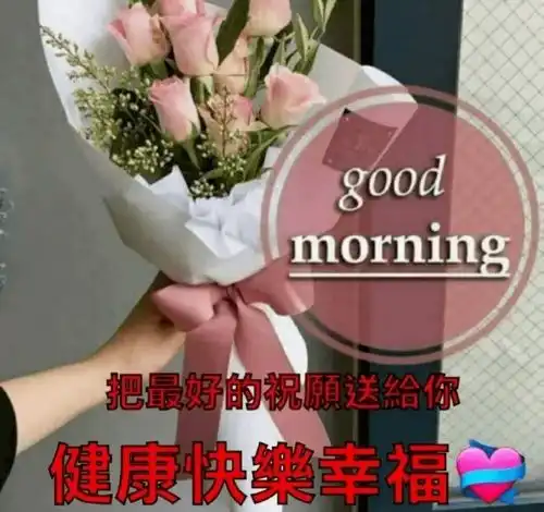 努力做一个善良的人,做一个心态阳光的人,早安