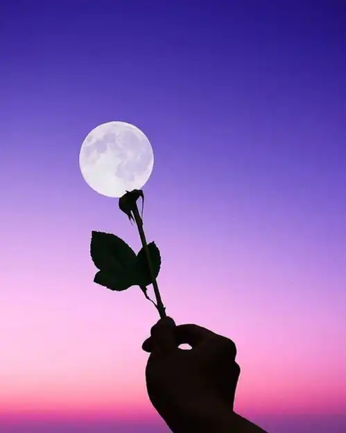 朋友圈醉人醉心的一句话,温暖四溢,人见人爱