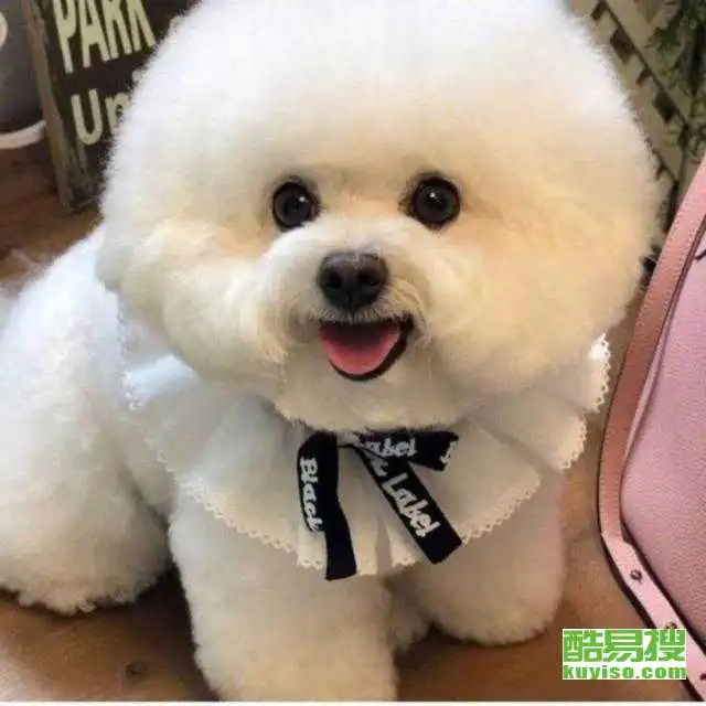 南京酷易搜