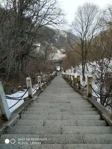 洛阳初春2日游老街洛邑古城老君山白云山