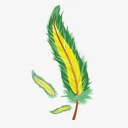 中国风精致羽毛绿色羽毛手绘插画图片素材其他格式下载动漫人物大全
