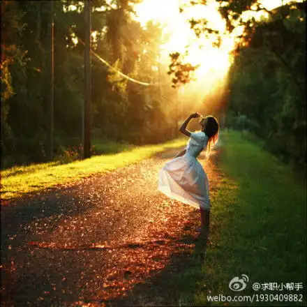 树林里要照出这范儿