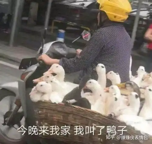 最新表情包图片你忙,我打游戏
