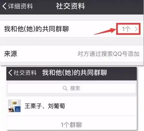 删掉的好友如何偷偷加回来微信这些冷门功能大部分人都不知道