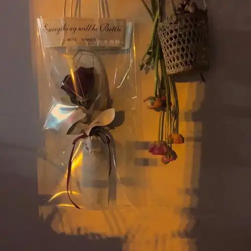 测试一个超长简介的文章