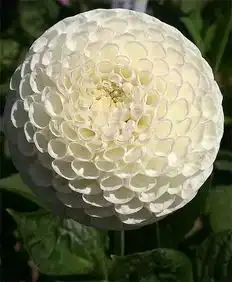 今日秋分,愿你这个秋天,分外开心分外快乐每一天都幸福如意