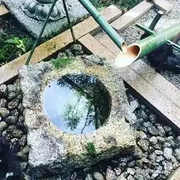 庭院中的禅意水景