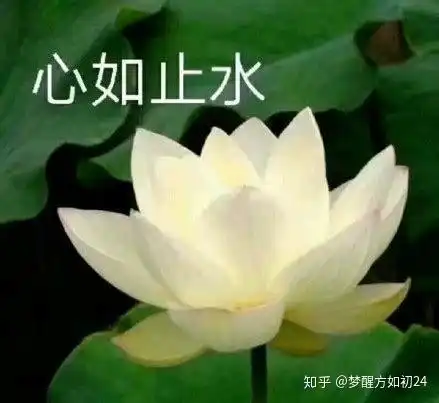 2019年12月14日考完英语四六级感受如何你有什么想说的