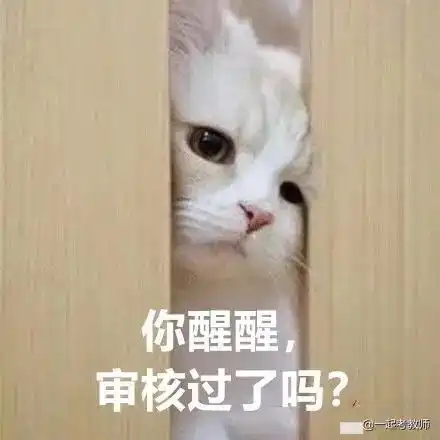 教资笔试报名还是待审核可能是这5处填错了快改