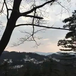 莲花佛国灵魂敬仰的九华圣地,洗涤心灵的黄山