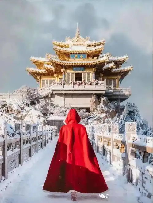 元旦活动12月31号1月3号河南四日游火遍全网的老君山,神都洛阳龙门石窟,少林寺跨年游