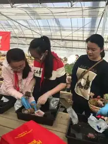 测试一个超长简介的文章