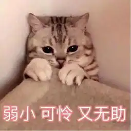 蒸汽平台来了玩家哭了,腾讯也哭了完美世界成为最大赢家