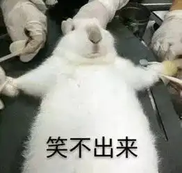 备考小诀窍别再单单转锦鲤啦,来点实用的吧