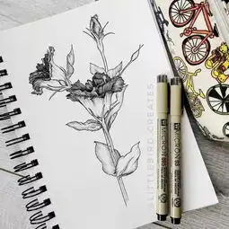 让你画到惊叫的手绘线描每天一幅画画功绝对飙升