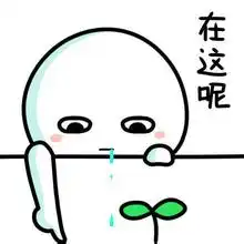 比悲伤更悲伤的故事泪点近视党的暴击