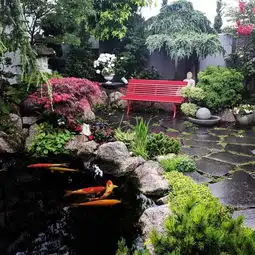 怎样选择一款适合自己的鱼池过滤系统