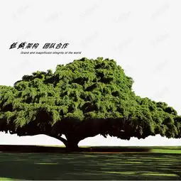 参天大树素材图片免费下载高清效果元素psd千库网图片编号7578446