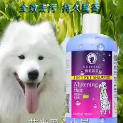艾米爱心小屋狗狗沐浴露雪貂泰迪金毛比熊萨摩耶美白