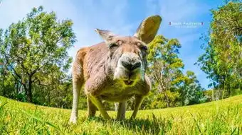 全世界最好的工作,大概就是他这样的