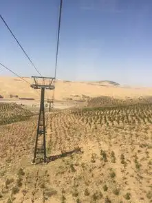 沙漠之旅响沙湾莲花度假酒店