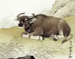 十二生肖的贵人属相是什么生肖