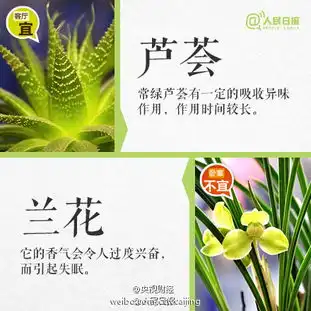 注意这些植物不要摆卧室