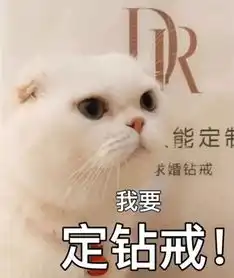 抖音第一网红猫刘二豆求婚了dr钻戒只送给最爱的喵