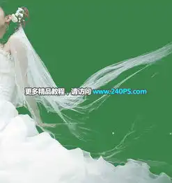 ps抠出复杂背景下的透明婚纱换背景3
