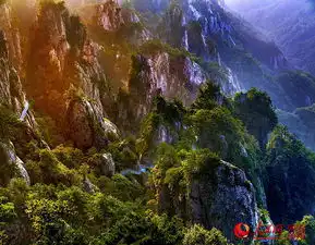 2015老君山观海避暑节品老子文化观雾天云海