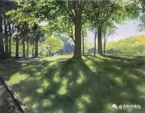 阿部智幸这水彩风景,仿佛能闻到阳光的味道