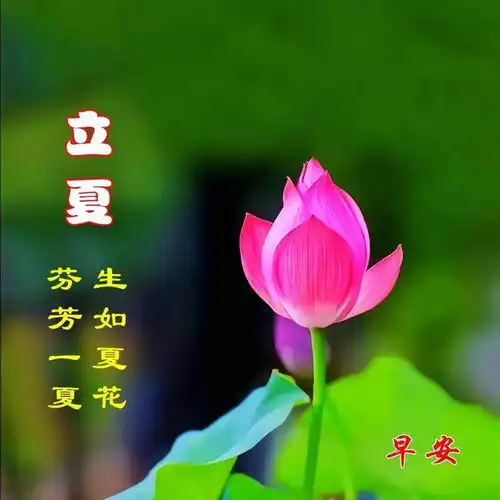 5月5日立夏节气漂亮祝福图片