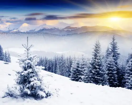 高清冬季冬天雪景自然风景jpg摄影图下载至来源处