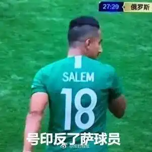 投票属于青海人的世界杯看球脸指南,你支持哪个队