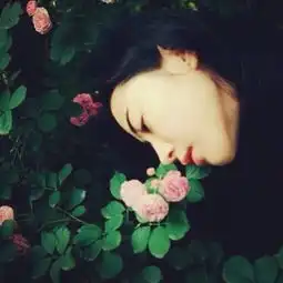 心理测试你最想穿哪套婚纱测测你的前世是美人还是丑八怪