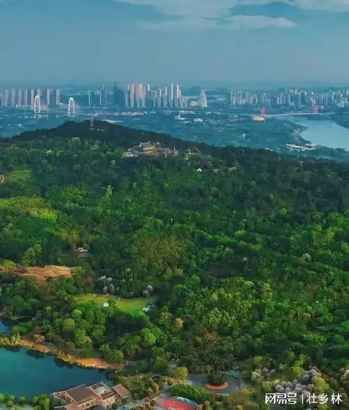 南宁市是省会最干净环境最好的城市