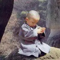 测试一个超长简介的文章