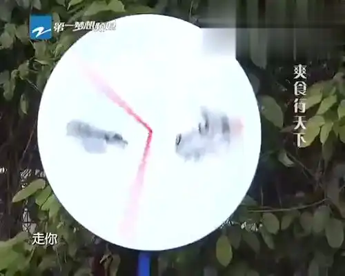 杨迪替左岩做嫁衣,抽中没有空调的面包车