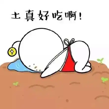 双11后最奇葩的淘宝差评,连马云都笑晕了......