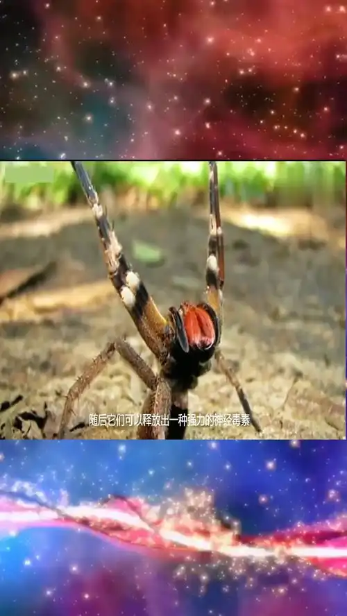 带你了解不一样的奇闻异事