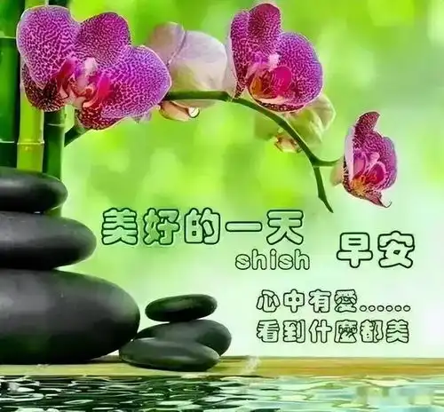 早安美图问候一声如蜜甜豁达乐观赛神仙