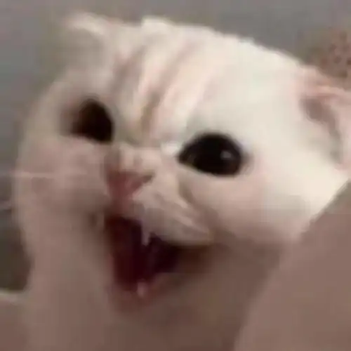 我要吃奶奶