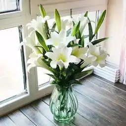 15种严禁入室的花草你家里有么