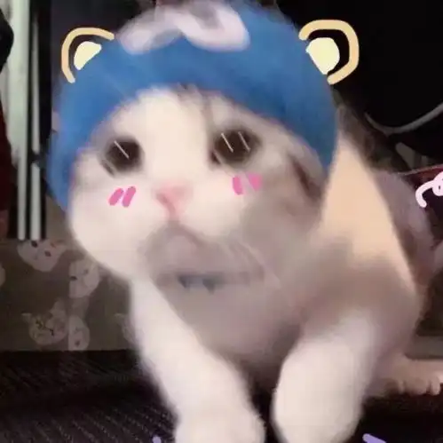 抖音最火的头像来啦